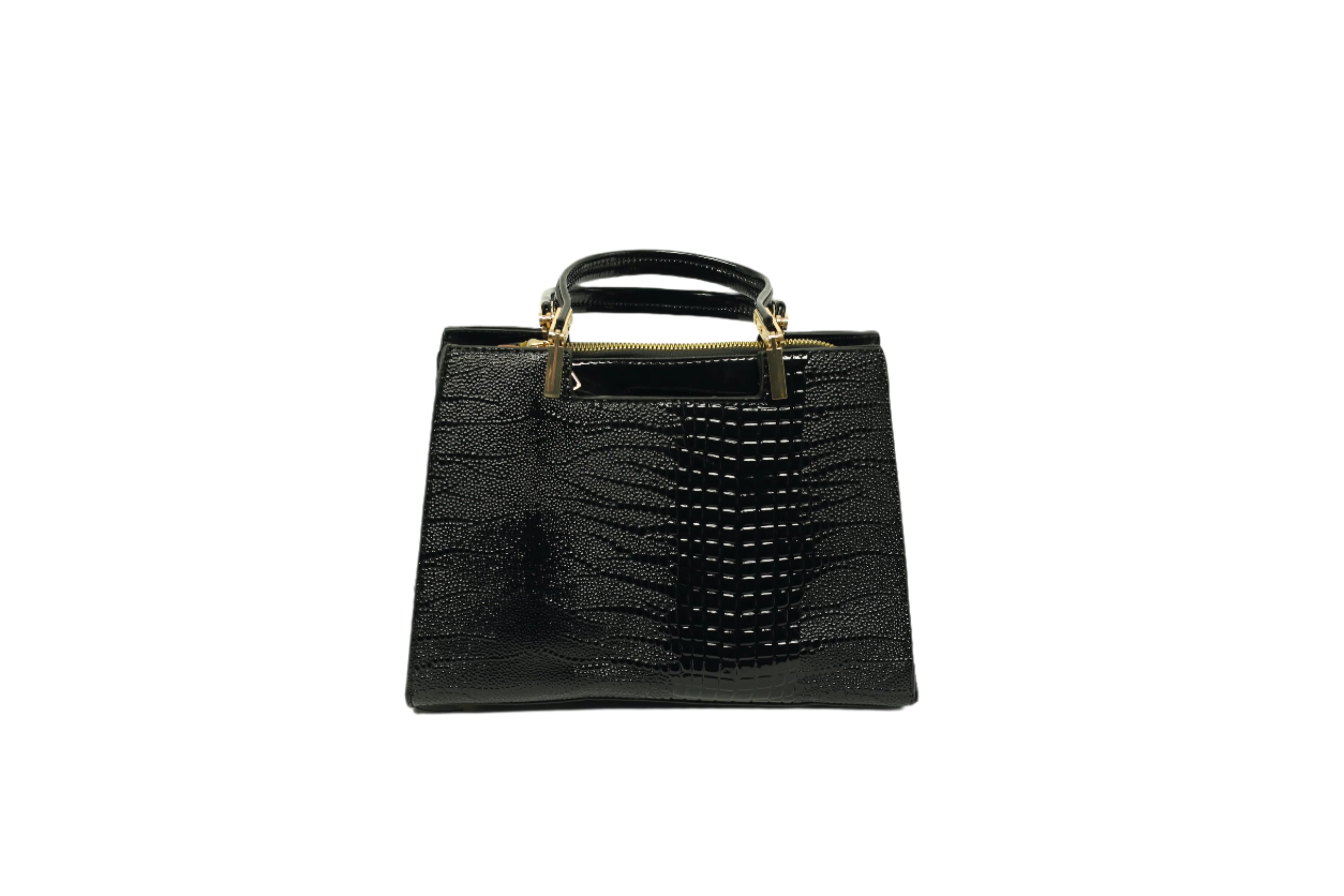Patent Leather Hand and Shoulder Bag